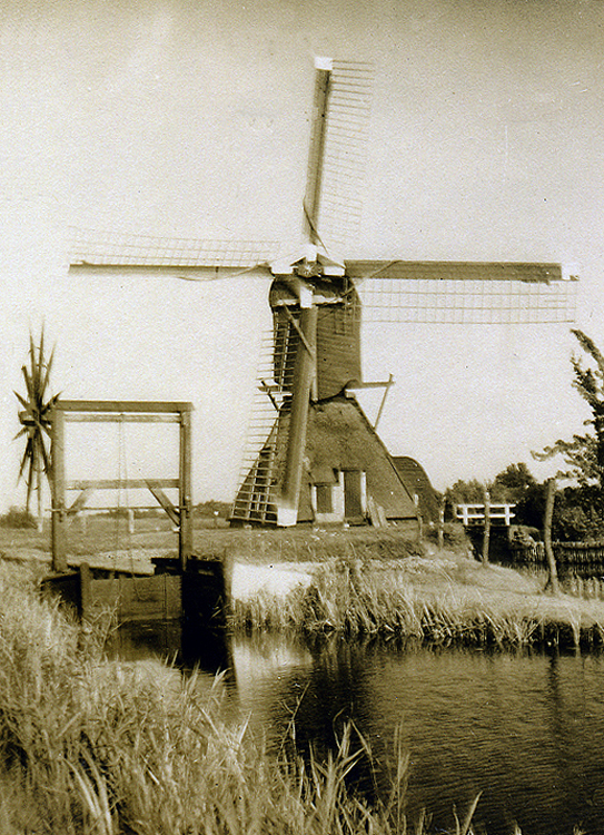 De Trouwe Wachter, , Foto: Johan M. van Doornik (2-9-1941), de vader van Martin E. van Doornik. | Database Nederlandse molens